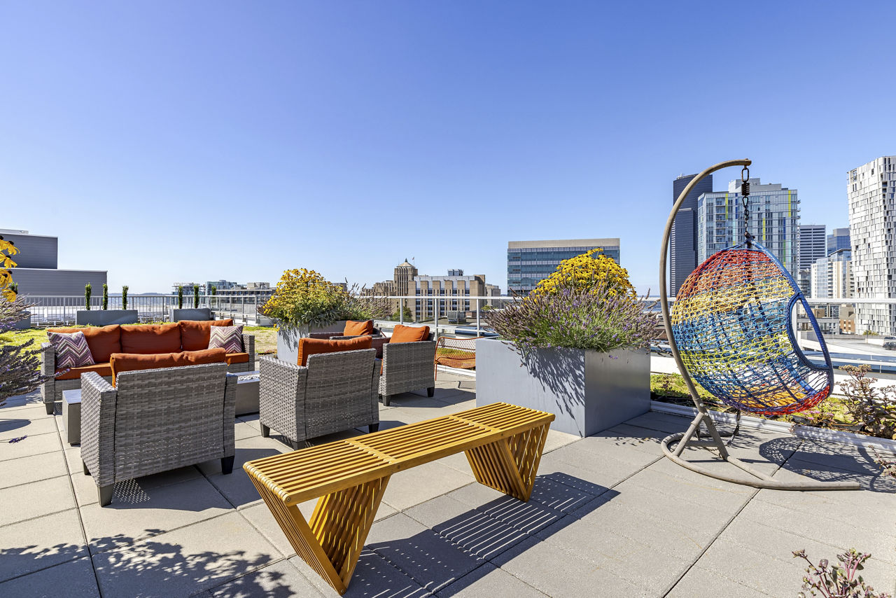 Roof deck at Zig Apartments (4 of 4)
