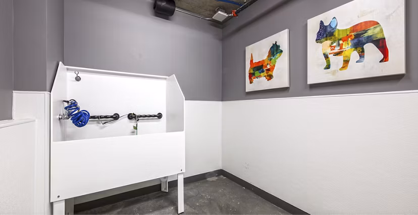 Convenient dog wash station at Zig Apartments, perfect for pet-friendly luxury living in the heart of the city