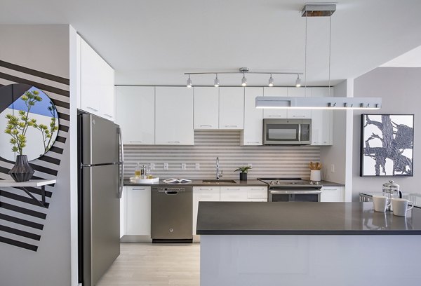 Modern kitchen with stainless steel appliances and sleek countertops at Exo Apartments luxury residences