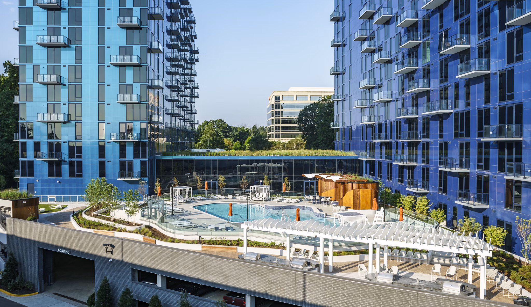 Pool featuring sun loungers and skyline views at Exo Apartments, luxury living in a Greystar community