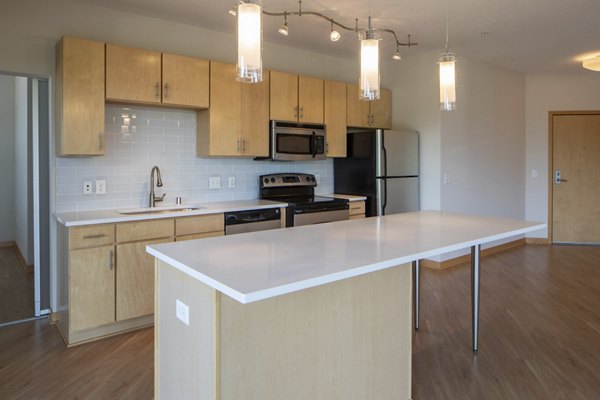 Ellipse on Excelsior: Modern kitchen with stainless steel appliances and sleek countertops in luxury apartments