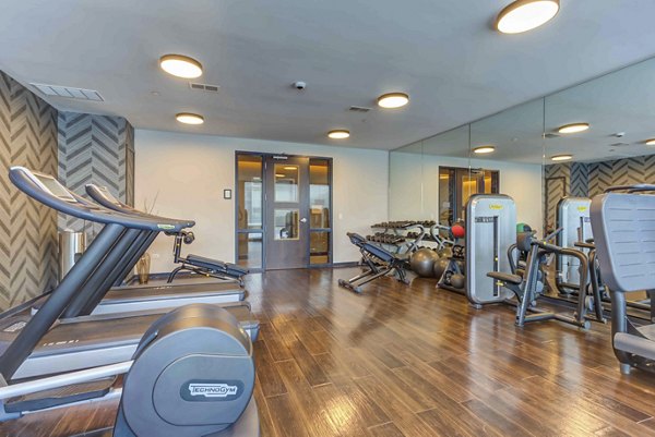 State-of-the-art fitness center at Luxe on Chicago Apartments offering modern exercise equipment and space