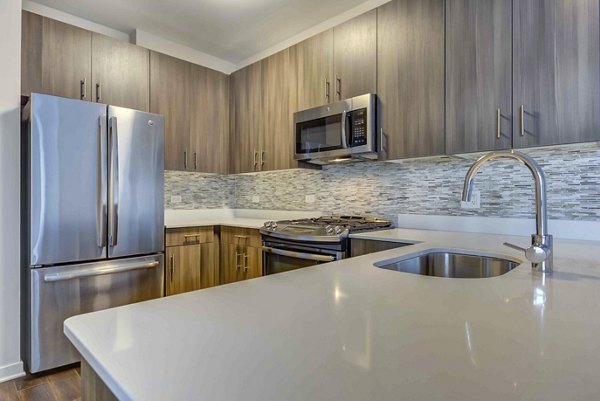 Modern kitchen with stainless steel appliances at Luxe on Chicago Apartments