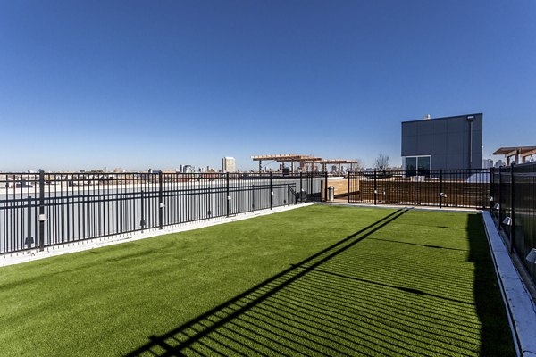 Dog-friendly dog park at Luxe on Chicago Apartments featuring agility equipment for resident pets