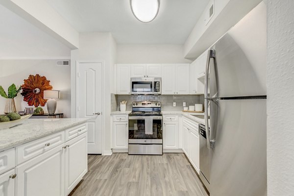 Modern kitchen featuring sleek countertops and stainless steel appliances at St Marin Apartments, luxury living by Greystar