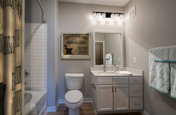 bathroom at One Hampton Lake Apartments 