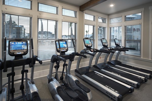 State-of-the-art fitness center with modern equipment at One Hampton Lake Apartments
