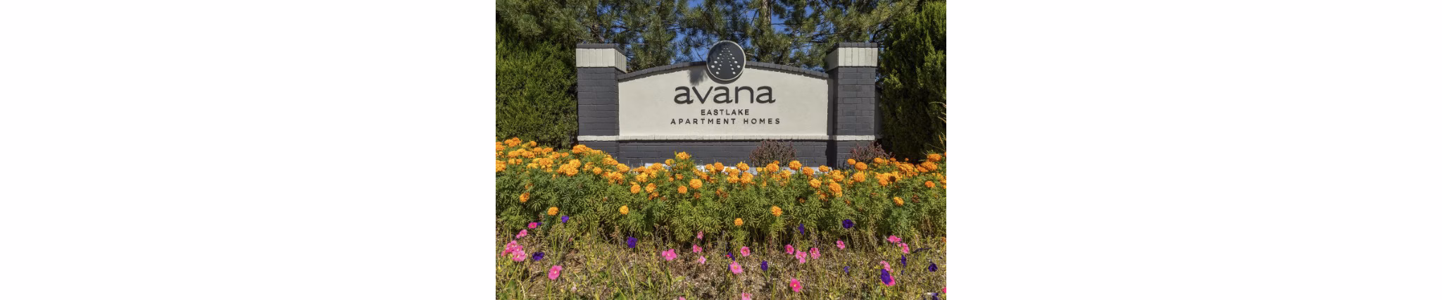 Elegant entrance signage at Avana Eastlake Apartments