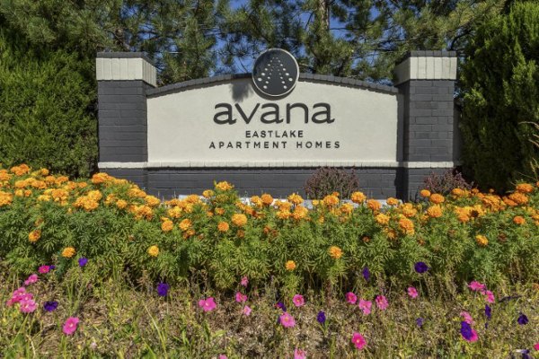 Elegant entrance signage at Avana Eastlake Apartments