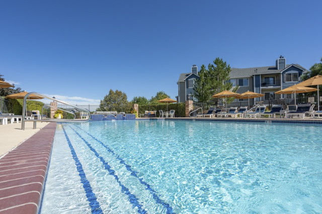 Pool at Avana Eastlake Apartments (4 of 8)