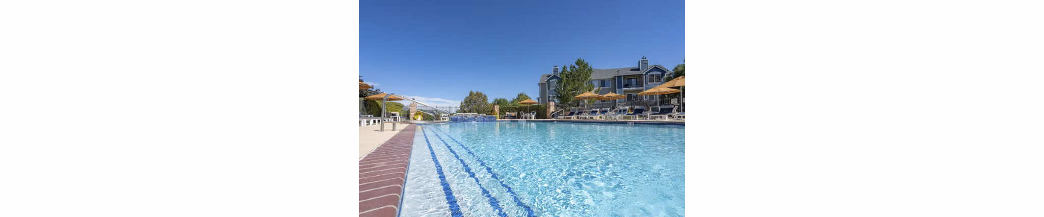 Chic communal pool at Avana Eastlake Apartments offering relaxation and leisure for residents