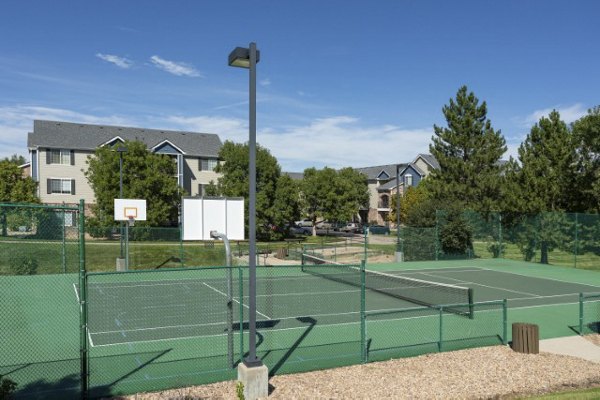 sport court at Avana Eastlake Apartments