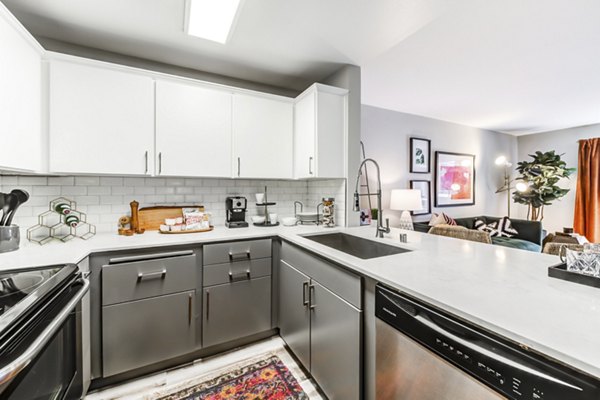 Modern kitchen with stainless steel appliances at Avana on Pine Apartments