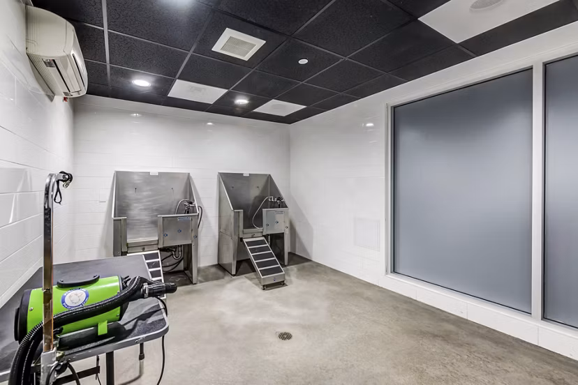 Convenient dog wash station at Avana on Pine Apartments for pet-friendly living