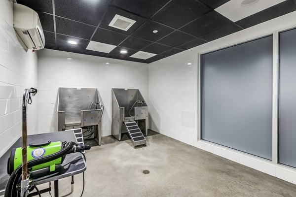 Convenient dog wash station at Avana on Pine Apartments for pet-friendly living