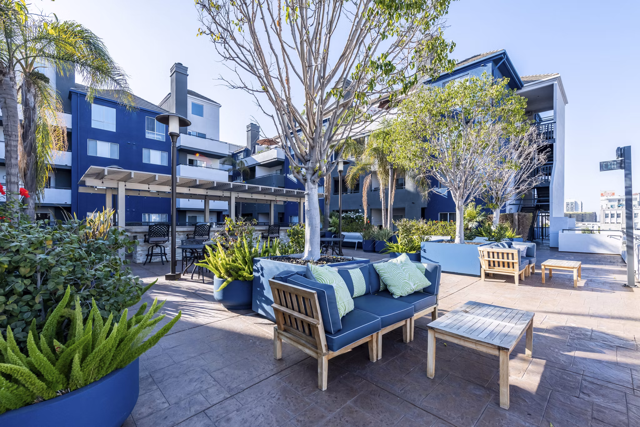 Courtyard with lush greenery and seating at Avana on Pine Apartments, offering serene outdoor living spaces