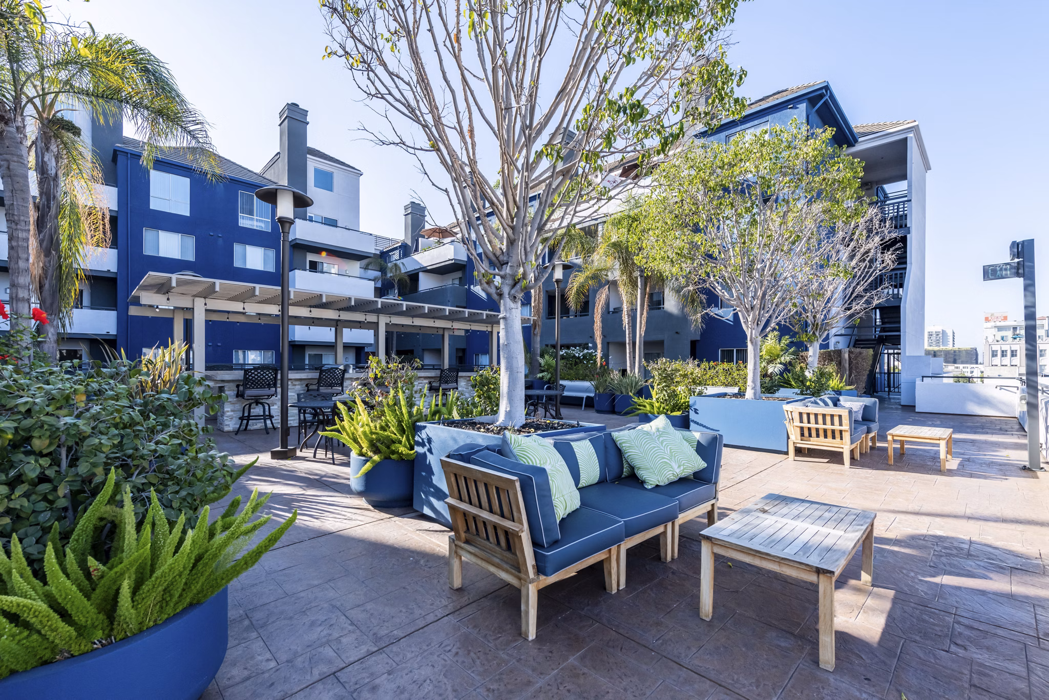 Courtyard with lush greenery and seating at Avana on Pine Apartments, offering serene outdoor living spaces