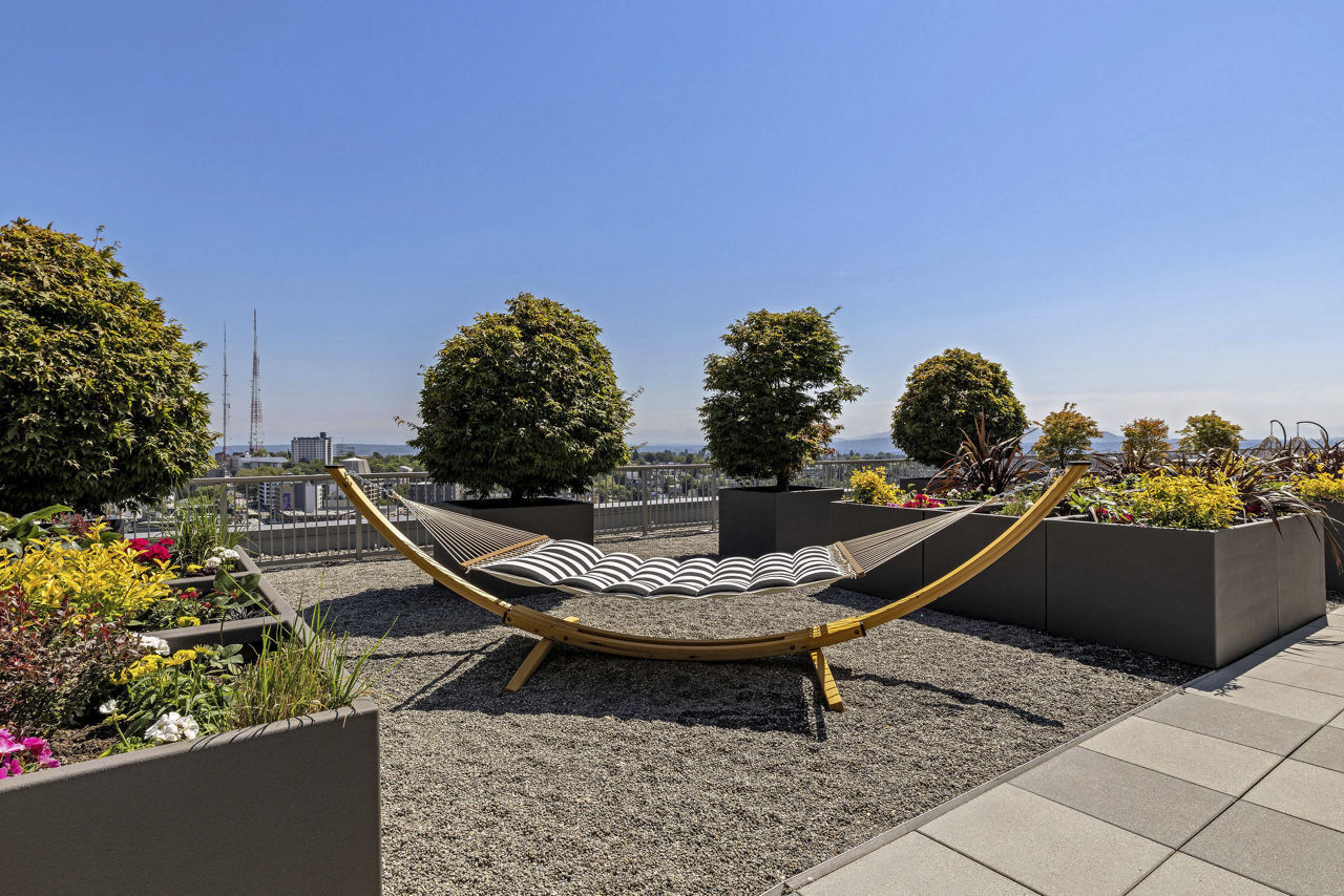 Roof deck at The Danforth (5 of 7)
