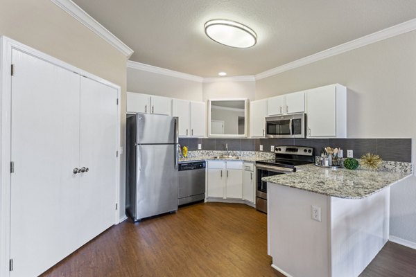 Modern kitchen with stainless steel appliances at Timberlinks at Denton Homes luxury apartments