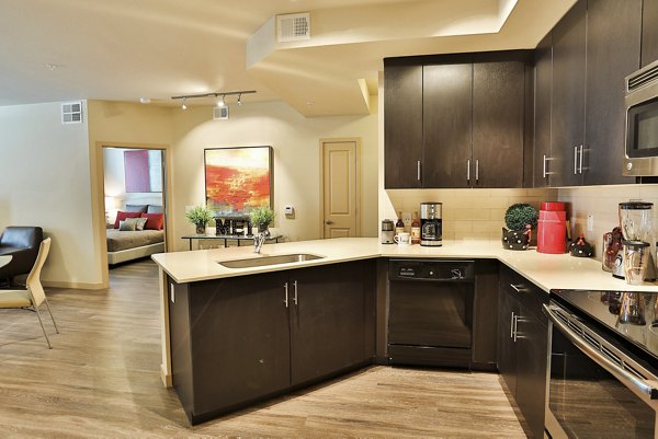kitchen at The Met at Fashion Center Apartment