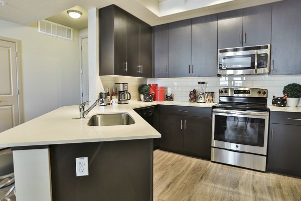 kitchen at The Met at Fashion Center Apartment