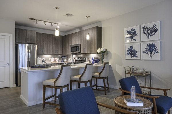 Modern kitchen with stainless steel appliances in Everleigh Cape Cod luxury apartments