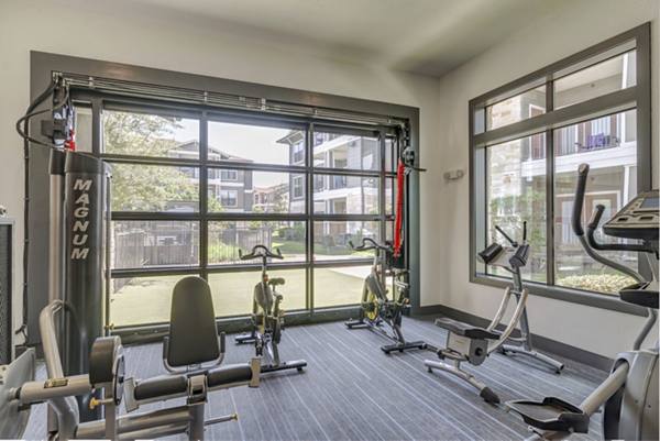 fitness center at The Landing at Double Creek Apartments