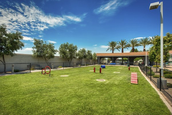 Dog park with agility equipment at Galleria Palms Apartments