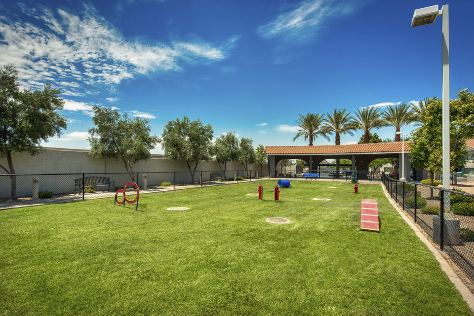 Dog park with agility equipment at Galleria Palms Apartments
