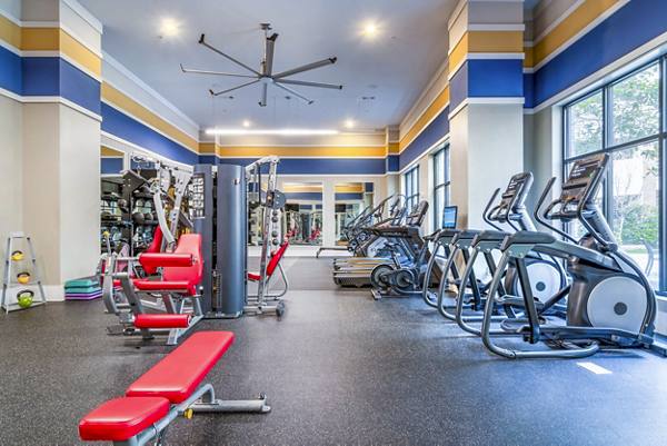 fitness center at The Standard at Athens Apartments