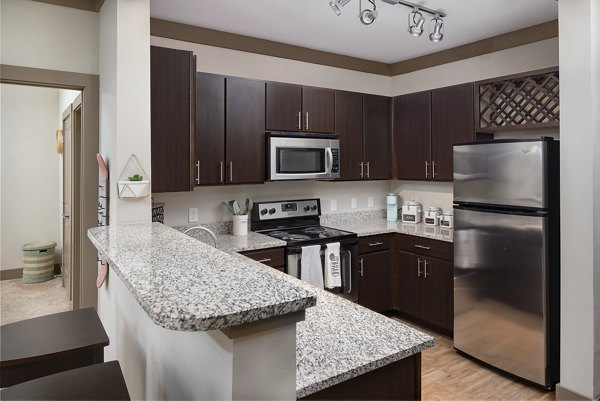 Modern kitchen with stainless steel appliances at The Standard at Athens Apartments