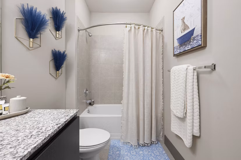 rendering at Accolade Athens Apartments