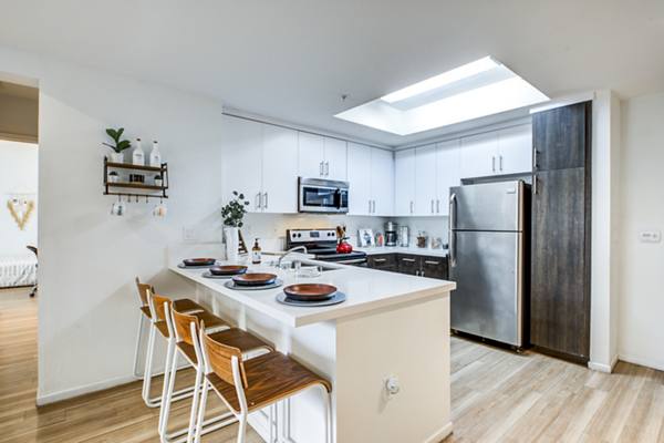 kitchen at Icon Plaza Apartments