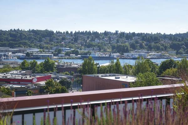 rooftop view at Ballard On 20th Apartments