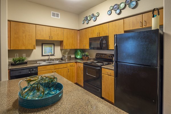 Modern kitchen featuring granite countertops and stainless steel appliances in Mandalay at Shadow Lake Apartments