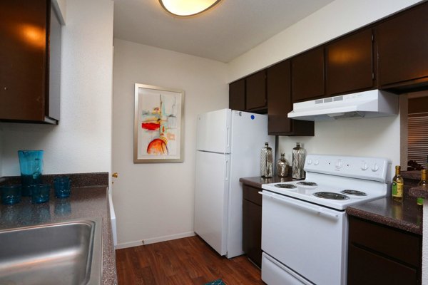 Modern kitchen with stainless steel appliances at Lake Vue Apartments, offering luxury living spaces in a serene environment