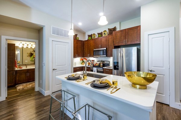 Modern kitchen with stainless steel appliances in Hardy Yards Apartment Homes, luxury apartments by Greystar in a vibrant urban setting