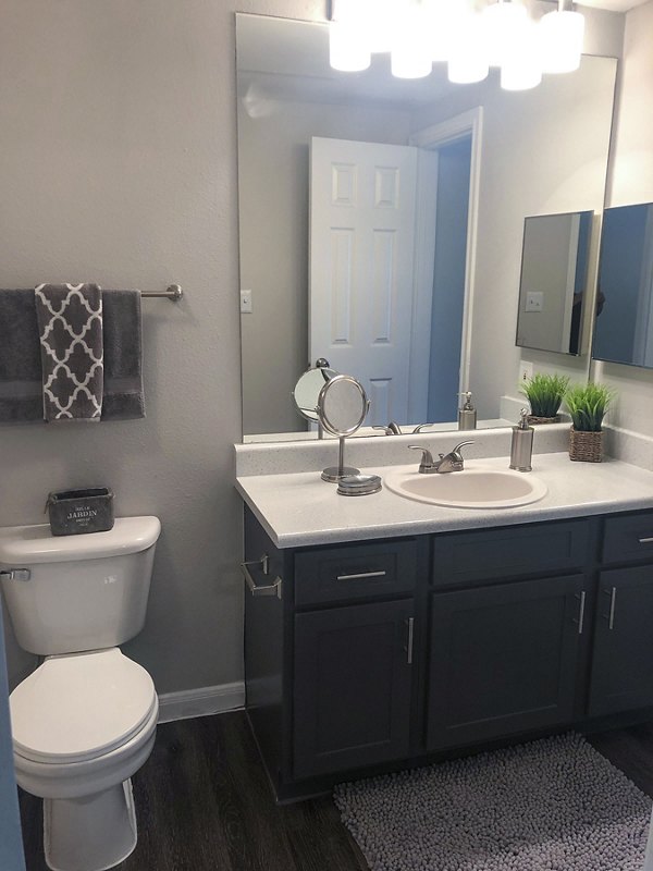 Modern bathroom with sleek fixtures in Breakers at Windmill Lakes Apartments, showcasing elegance and functionality