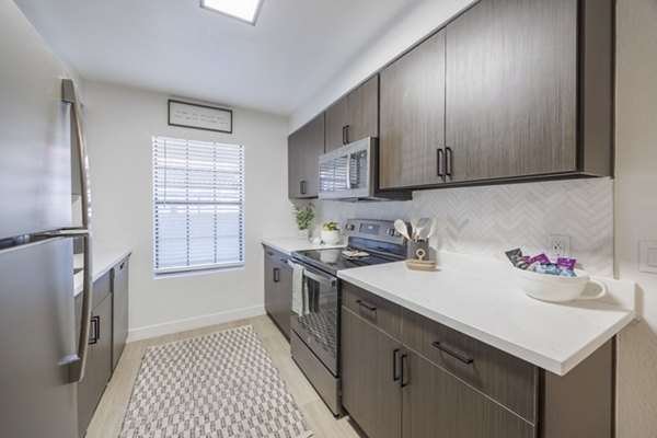 Modern kitchen with stainless steel appliances at Sage at Green Valley Apartments