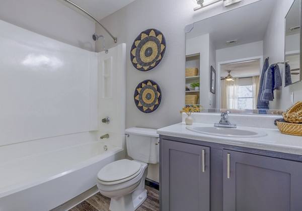 bathroom at 5400 Vistas Apartments