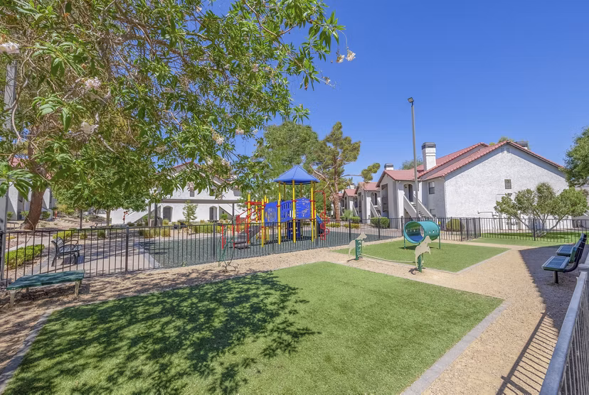 Spacious dog park at 5400 Vistas Apartments offering pet-friendly green space and amenities for residents
