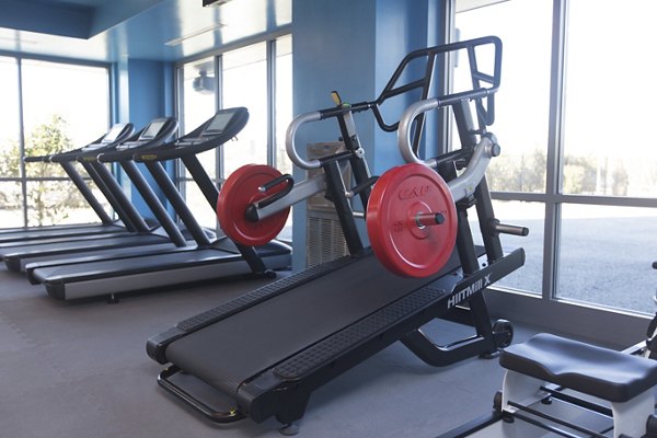 Modern fitness center with state-of-the-art equipment at One Beachmont Apartments, perfect for active lifestyles in a luxury setting