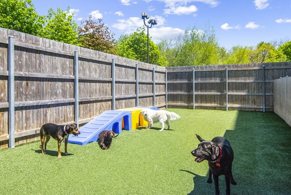 Expansive dog park with agility equipment at One Beachmont Apartments, perfect for pet-friendly luxury living