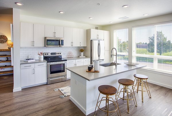 kitchen at The Palmer Apartments