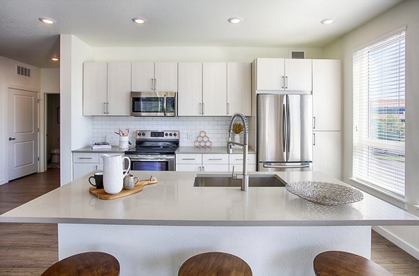 kitchen at The Palmer Apartments