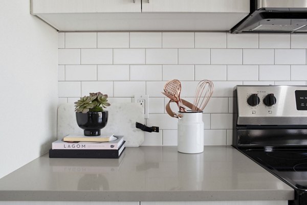 kitchen at The Palmer Apartment