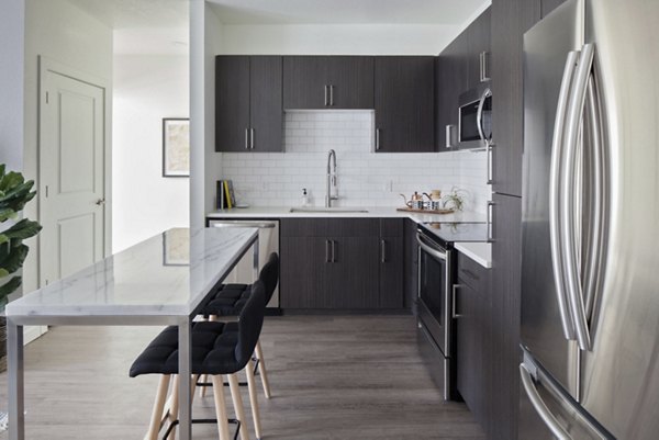 kitchen at The Palmer Apartment