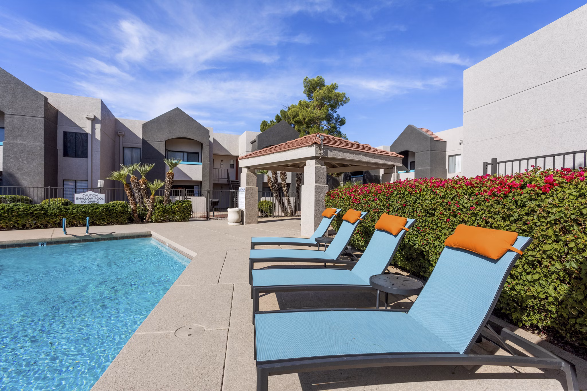 pool at Paseo 51 Apartments