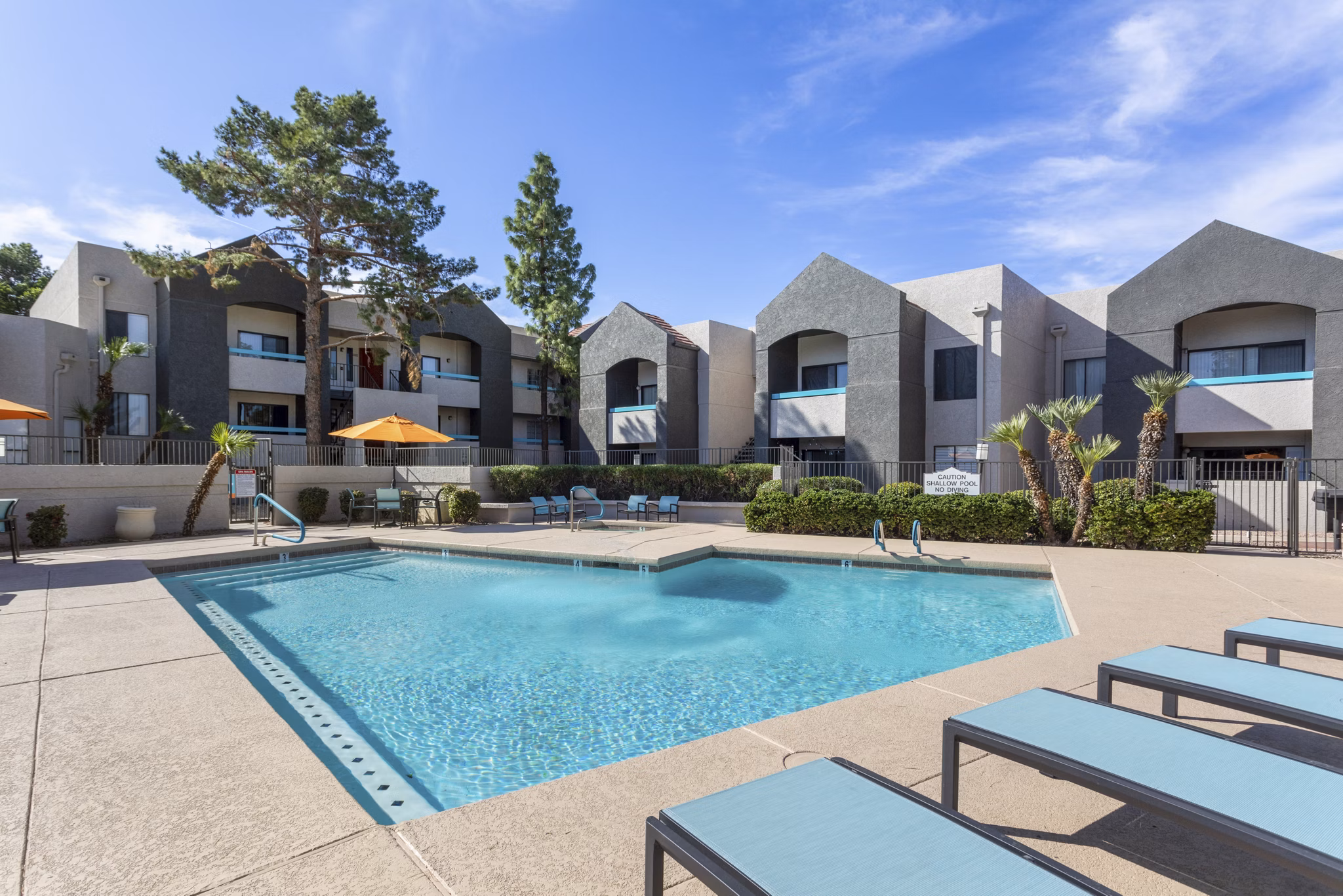 pool at Paseo 51 Apartments