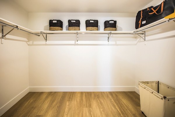 Walk-in closet with ample storage space at Fourth Street East Apartments luxury rentals